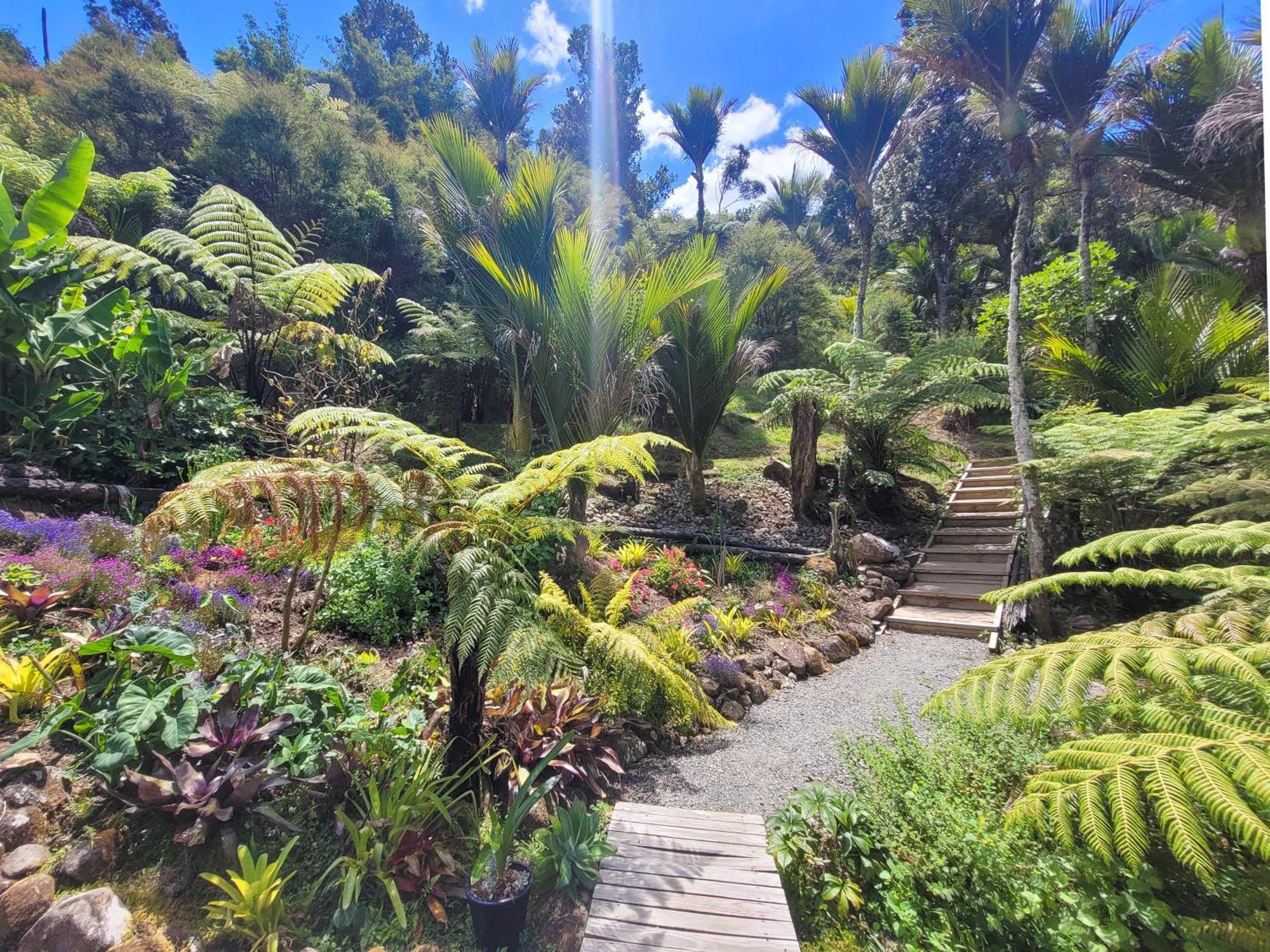 Annabells B&B Whitianga Buitenkant foto